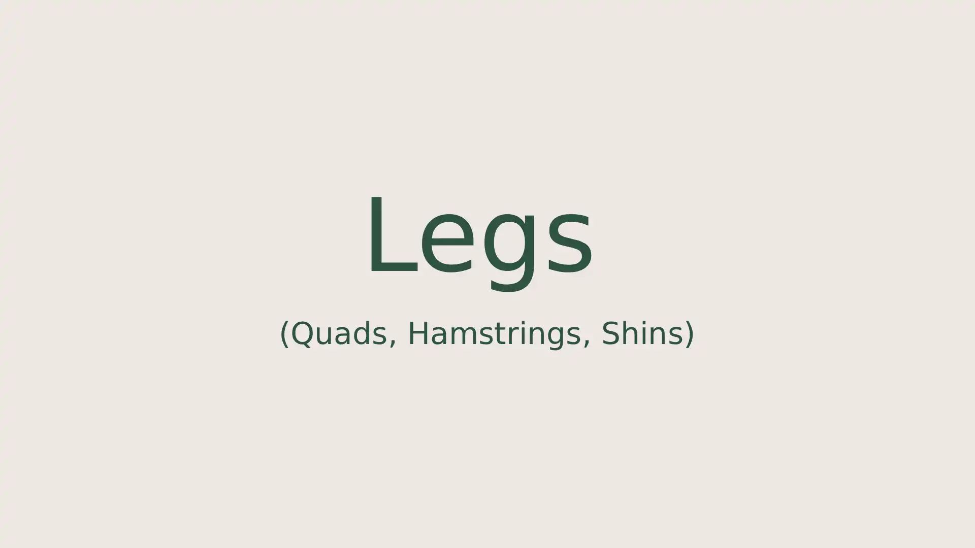 Legs (Quads, Hamstrings, Shins)