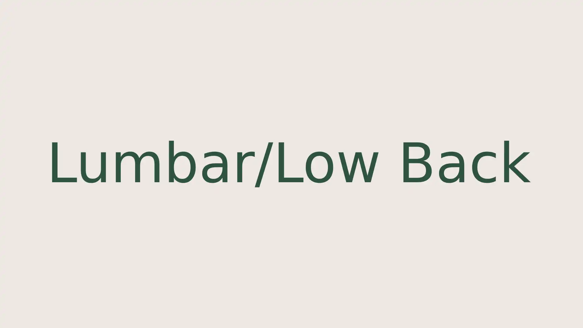 Lumbar/Low Back